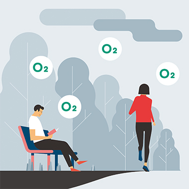 미세먼지 저감식재